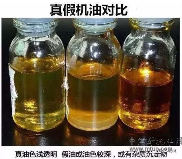 真假对比.jpg